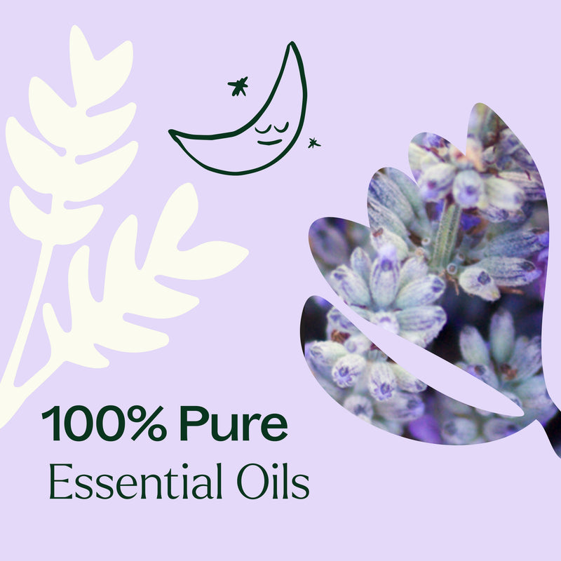 Plant Therapy Sparkling Lavender Laundry Essential Oil Blend Household