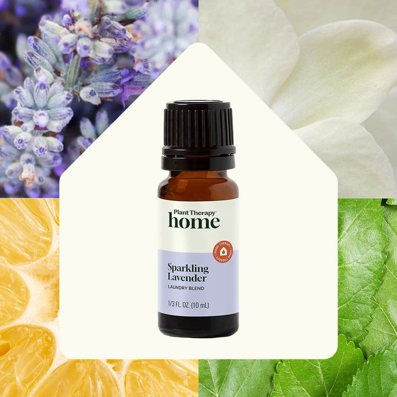 Plant Therapy Sparkling Lavender Laundry Essential Oil Blend Household
