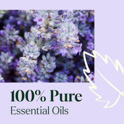 Plant Therapy Sparkling Lavender Laundry Essential Oil Blend Household
