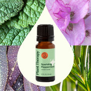 Plant Therapy Sparkling Peppermint Laundry Essential Oil Blend Household