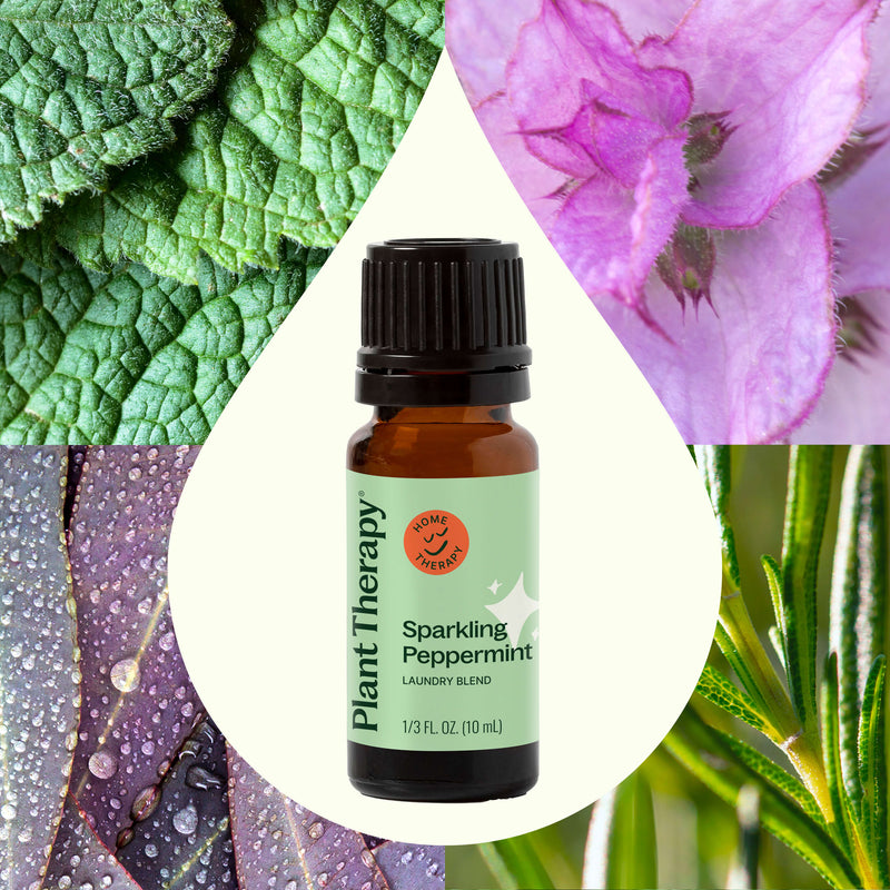 Plant Therapy Sparkling Peppermint Laundry Essential Oil Blend Household