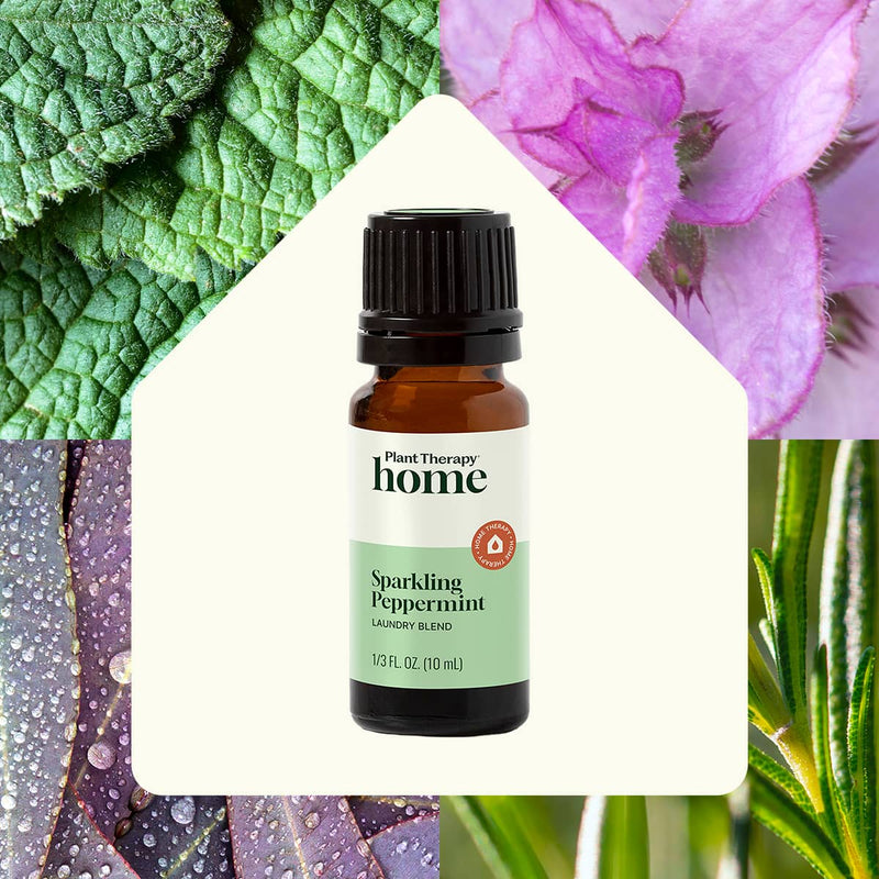 Plant Therapy Sparkling Peppermint Laundry Essential Oil Blend Household