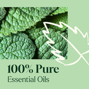 Plant Therapy Sparkling Peppermint Laundry Essential Oil Blend Household