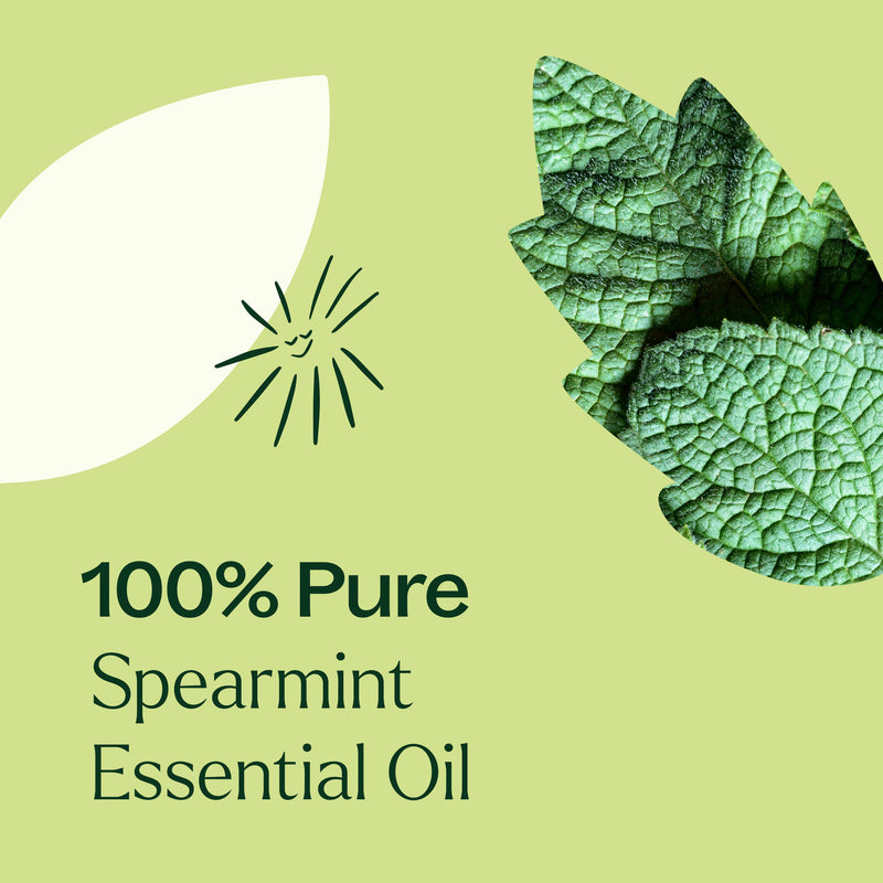 Plant Therapy Spearmint Essential Oil Essential Oil