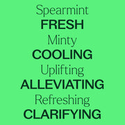 Plant Therapy Spearmint Essential Oil Essential Oil