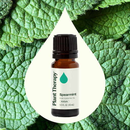 Plant Therapy Spearmint Essential Oil Essential Oil