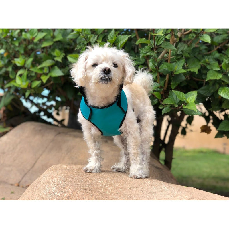 CoyoteVest SpikeHarness Vest