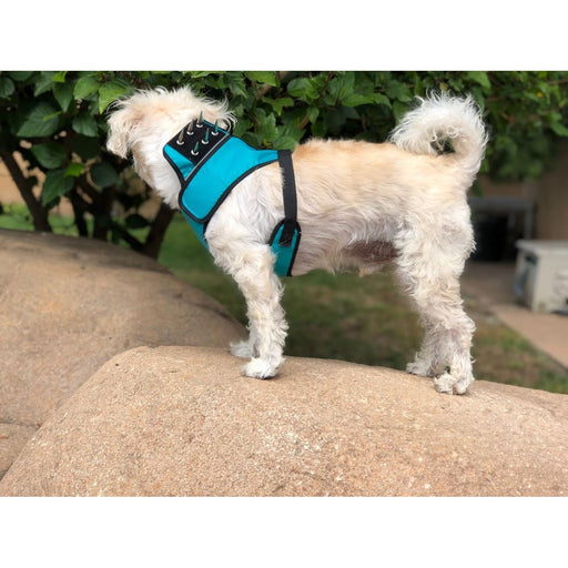 CoyoteVest SpikeHarness Vest Tan Medium / Red,Medium / Yellow,Medium / Neon Pink,Medium / Turquoise,Medium / Royal Blue,Medium / Texas Tan,Medium / Fluorescent Orange,Small / Red,Small / Yellow,Small / Neon Pink,Small / Turquoise,Small / Royal Blue,Small / Texas Tan,Small / Fluorescent O