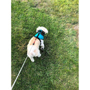 CoyoteVest SpikeHarness Vest