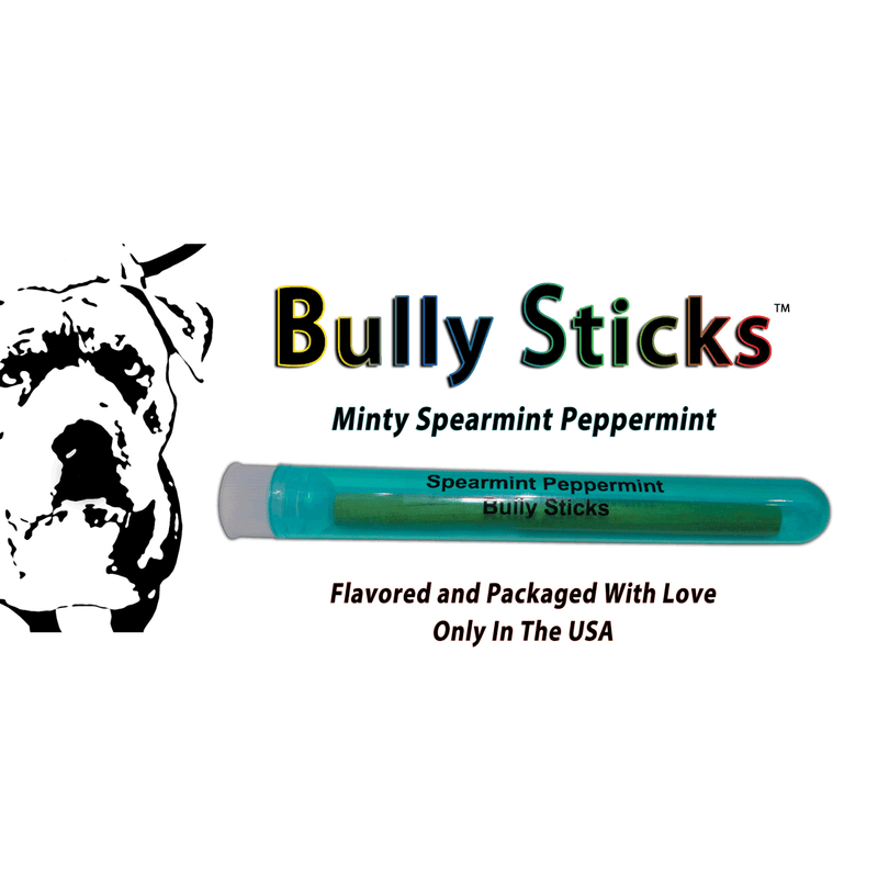 BiteMyWood Bully Stick 4" - Revolutionary All Natural Birchwood Flavored Human Chewing Sticks | BiteMyWood Toothpicks