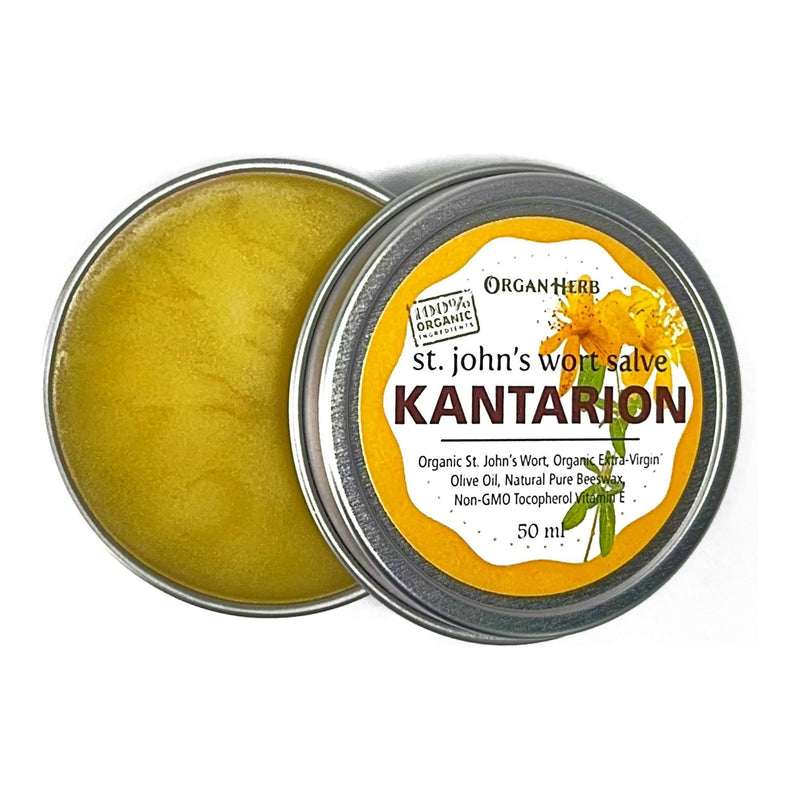 OrganHerb OrganHerb Organic St. John's Wort Salve (Kantarion) 2 oz – Soothing and Nourishing Skin Herbal Salve Organic Salves