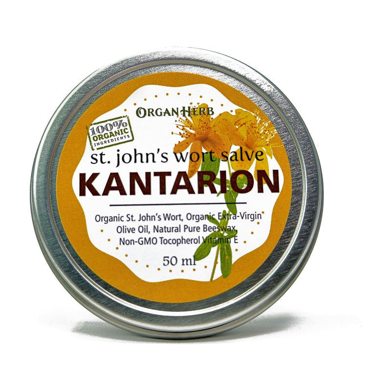 OrganHerb OrganHerb Organic St. John's Wort Salve (Kantarion) 2 oz – Soothing and Nourishing Skin Herbal Salve Organic Salves