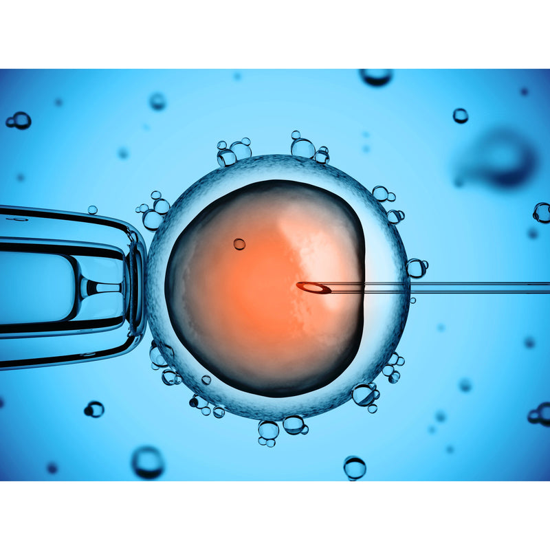 Bio Jouvance Paris Consumer Stem Cell Tenser (Non Frozen) Ampoule