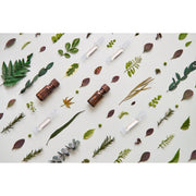 Bio Jouvance Paris Consumer Stem Cell Tenser (Non Frozen) Ampoule