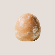 Conscia Hydrate Shampoo Shampoo