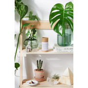 Butter Me Up Organics Natural Organic Sunscreen / Safe Sunscreen / Non-Nano Zinc Oxide Sunscreen / Sun Protection / Butter Me Up Organics Body