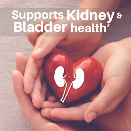 SpeedyVite® Kidney Cleanse Drops (2 fl oz) | Kidney & Bladder Support | SpeedyVite® Drops