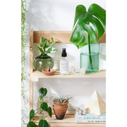 Butter Me Up Organics Organic Pillow Mist / Aromatherapy  / Relaxing Essential Oils / Gentle Sleep / Butter Me Up Organics Home