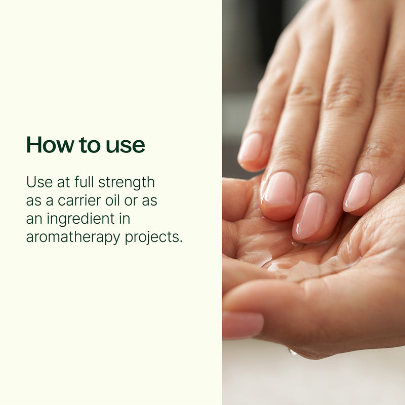 Plant Therapy Sweet Almond Carrier Oil Body Care