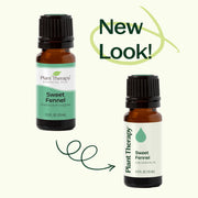 Plant Therapy Sweet Fennel Essential Oil Essential Oil