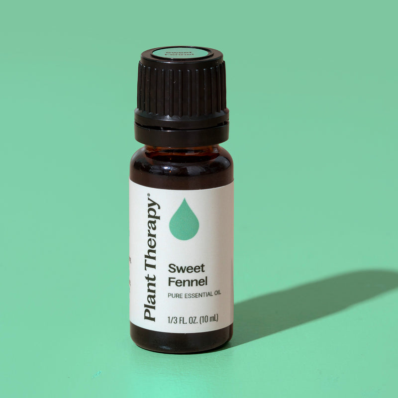 Plant Therapy Sweet Fennel Essential Oil Essential Oil