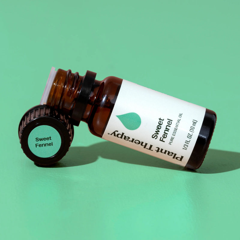 Plant Therapy Sweet Fennel Essential Oil Essential Oil