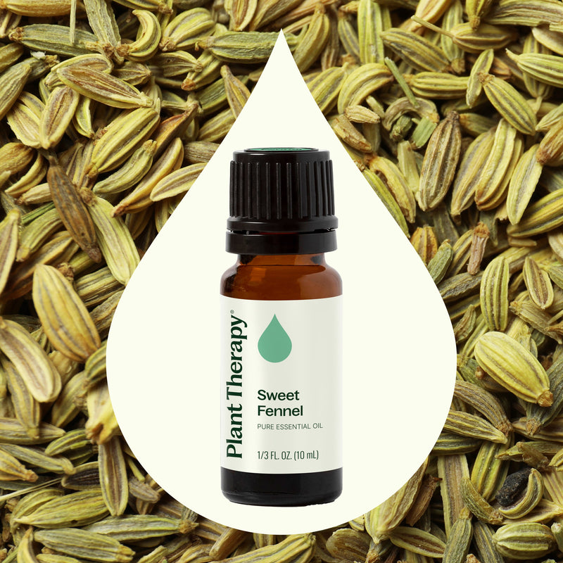 Plant Therapy Sweet Fennel Essential Oil Essential Oil