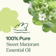 Plant Therapy Sweet Marjoram Essential Oil Essential Oil