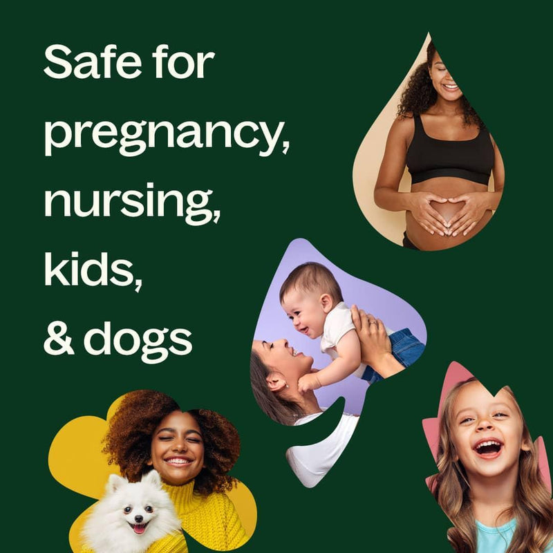 Plant Therapy Sweet Marjoram Essential Oil Essential Oil