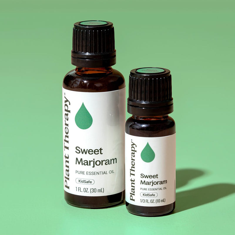 Plant Therapy Sweet Marjoram Essential Oil Essential Oil