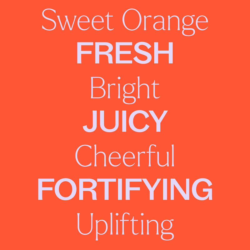 Plant Therapy Sweet Orange Body Oil Body Care