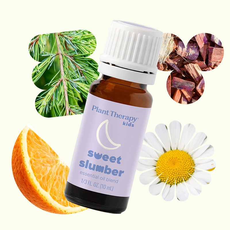 Plant Therapy Sweet Slumber Essential Oil Essential Oil