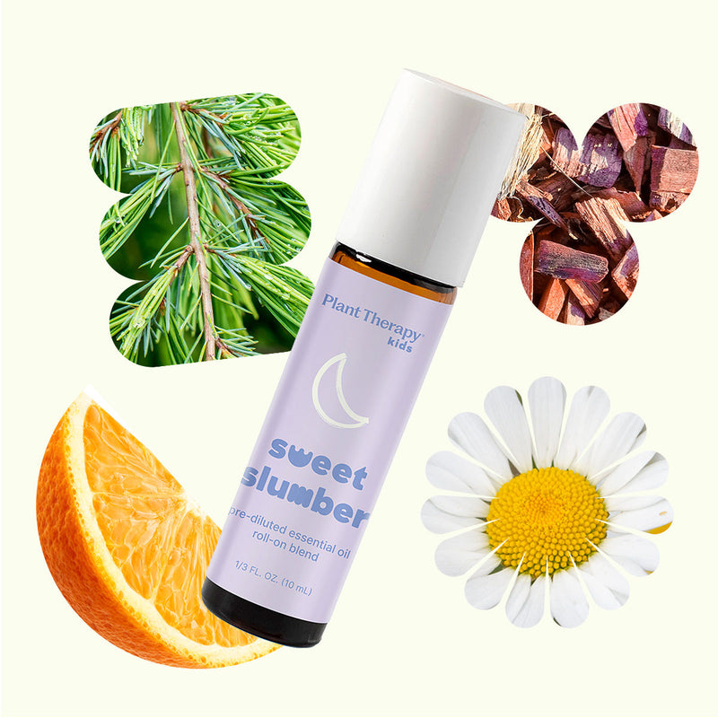 Plant Therapy Sweet Slumber Essential Oil Pre-Diluted Roll-On Essential Oil Seashell 10 mL