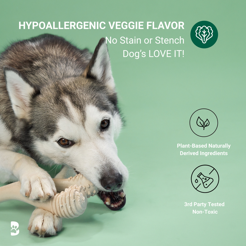 BetterBone All Natural Eco-Friendly Dog Chews & Bones BetterBone MODERATE Chew Toy Dog Toys