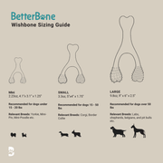 BetterBone All Natural Eco-Friendly Dog Chews & Bones BetterBone MODERATE Chew Toy Dog Toys