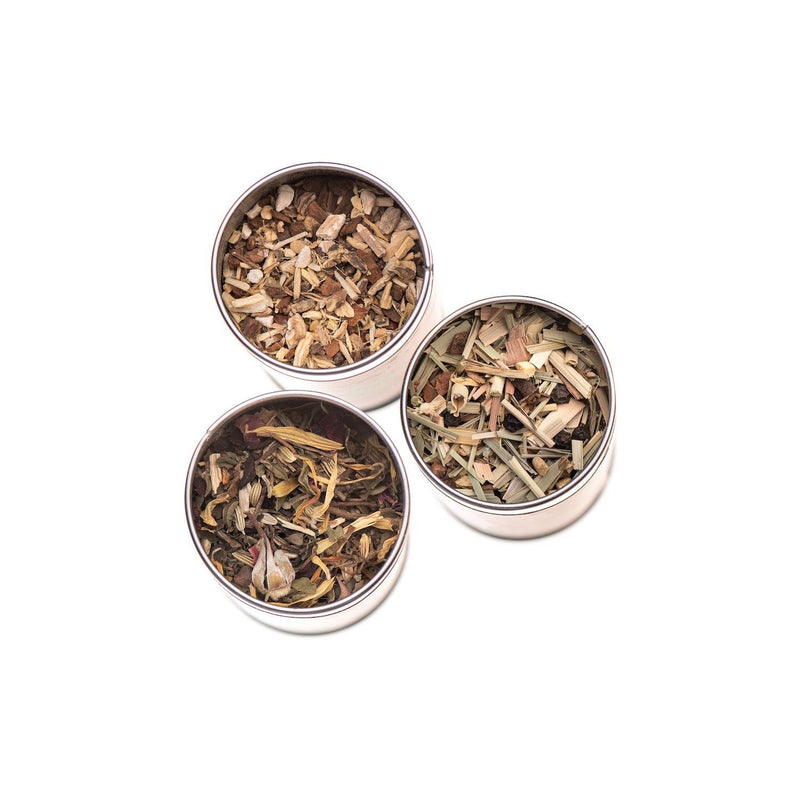 Paavani Ayurveda Herbal Tea Ritual | Organic Loose-Leaf Ayurvedic Tea Collection simple