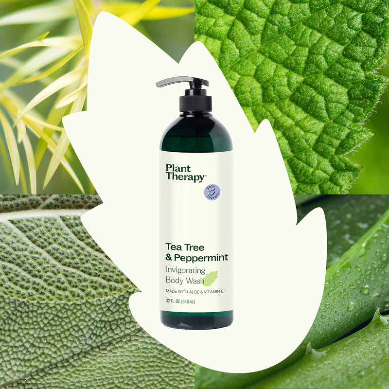 Plant Therapy Tea Tree & Peppermint Body Wash Body Care