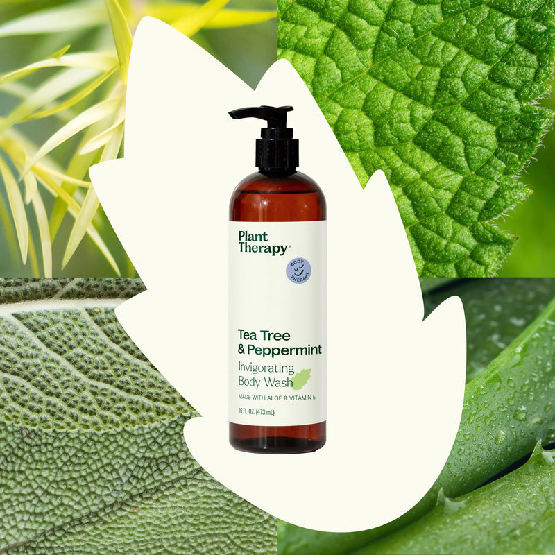 Plant Therapy Tea Tree & Peppermint Body Wash Body Care