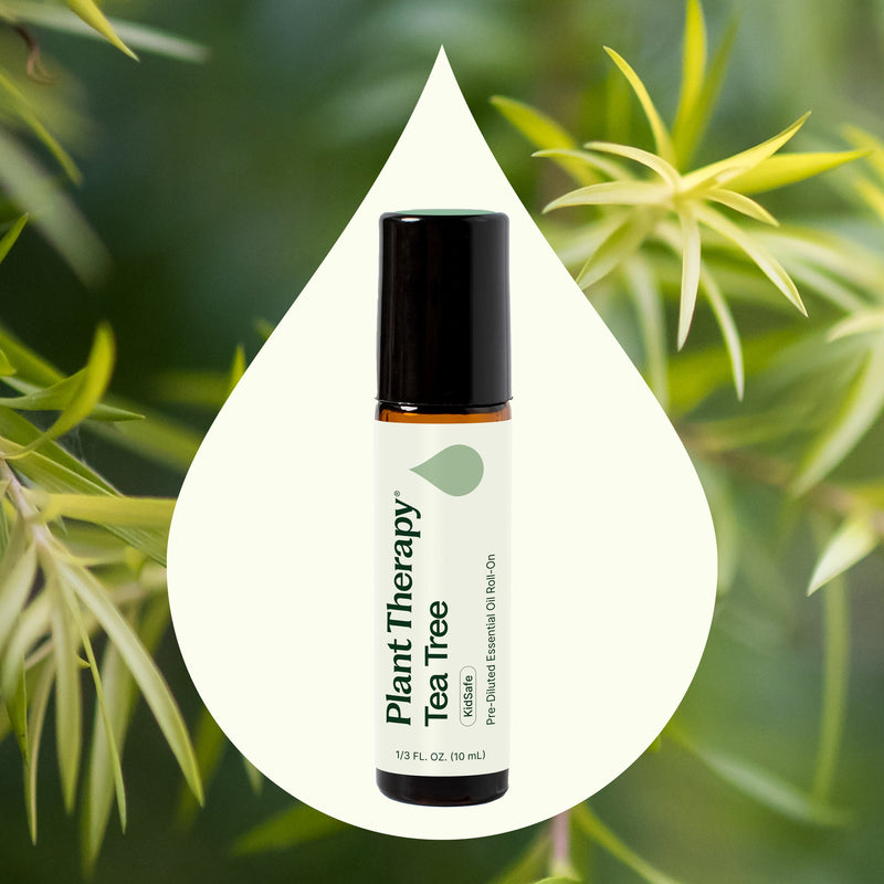Plant Therapy Tea Tree Essential Oil Pre-Diluted Roll-On Essential Oil