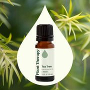 Plant Therapy Tea Tree Essential Oil Essential Oil