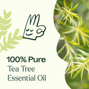 Plant Therapy Tea Tree Essential Oil Essential Oil