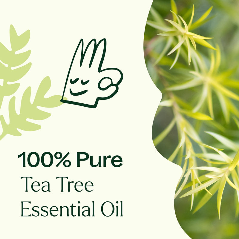 Plant Therapy Tea Tree Essential Oil Essential Oil