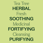 Plant Therapy Tea Tree Essential Oil Essential Oil