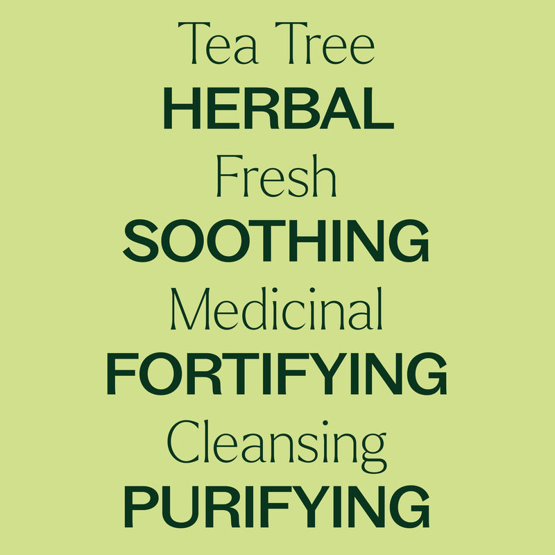 Plant Therapy Tea Tree Essential Oil Pre-Diluted Roll-On Essential Oil