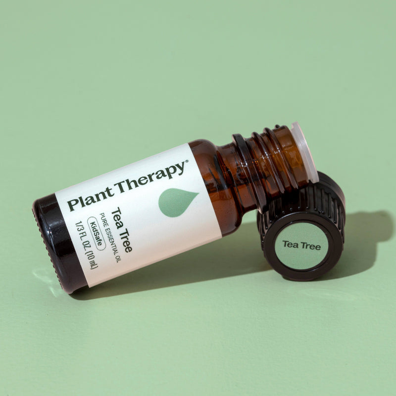 Plant Therapy Tea Tree Essential Oil Essential Oil