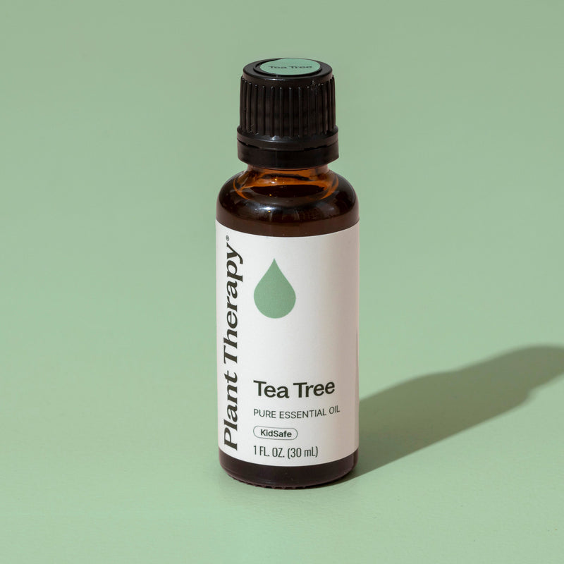 Plant Therapy Tea Tree Essential Oil Essential Oil