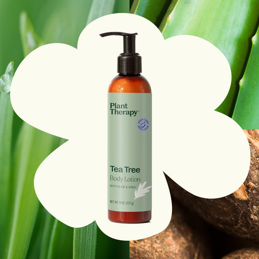 Plant Therapy Tea Tree Body Lotion with Aloe and Shea Body Care
