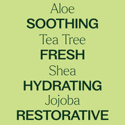 Plant Therapy Tea Tree Body Lotion with Aloe and Shea Body Care