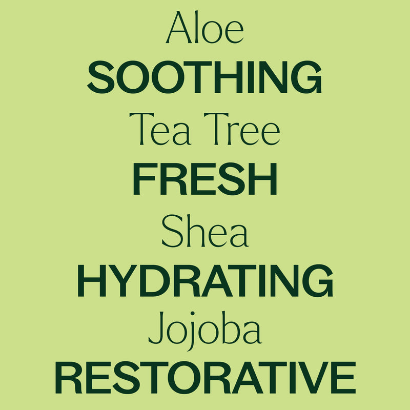 Plant Therapy Tea Tree Body Lotion with Aloe and Shea Body Care