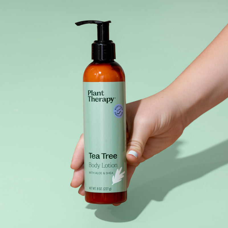Plant Therapy Tea Tree Body Lotion with Aloe and Shea Body Care